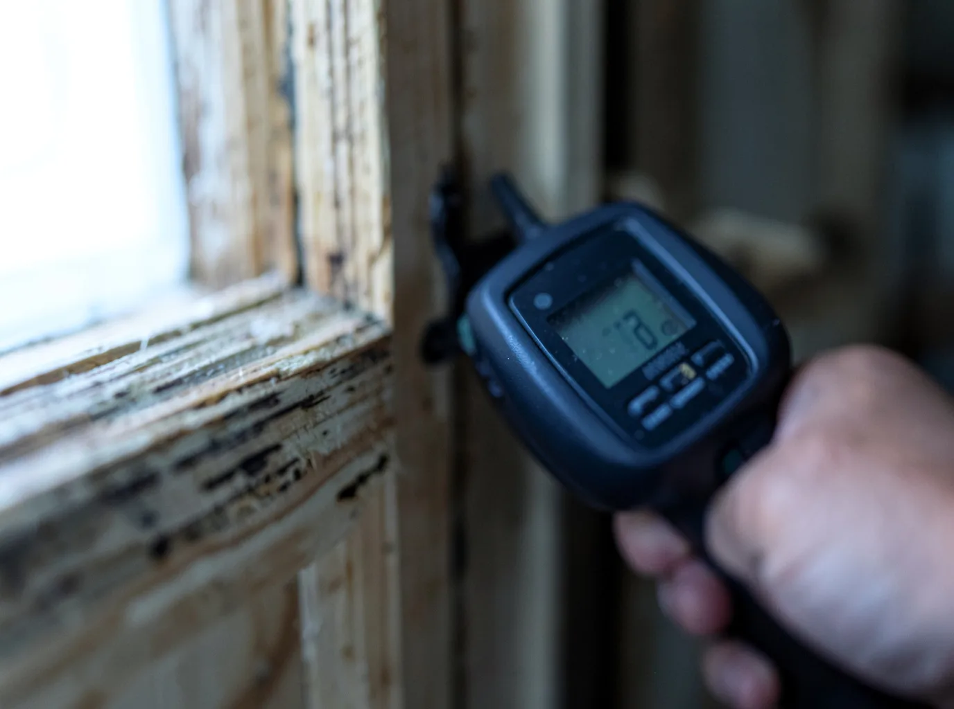 Moisture Inspection And Documentation in Sharon, VT